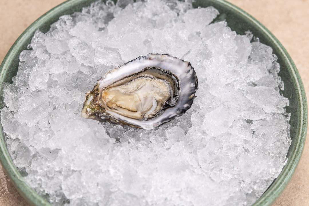 Huitre spéciale boulan n3 n4