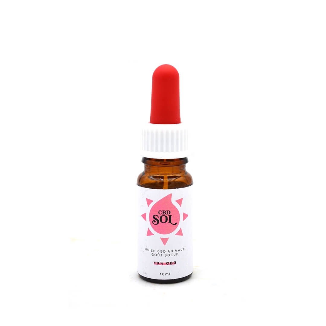 Illustration produit - Huile de cbd pour chien