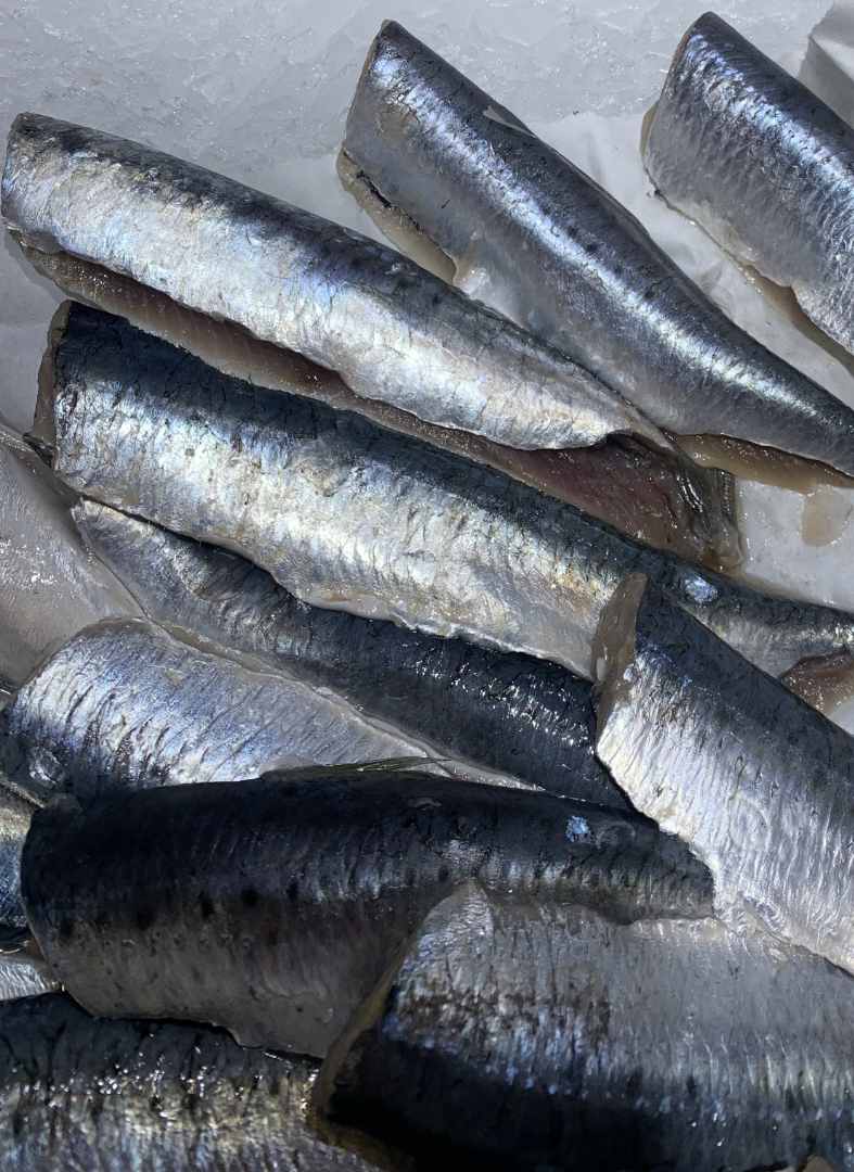 FILETS DE SARDINES