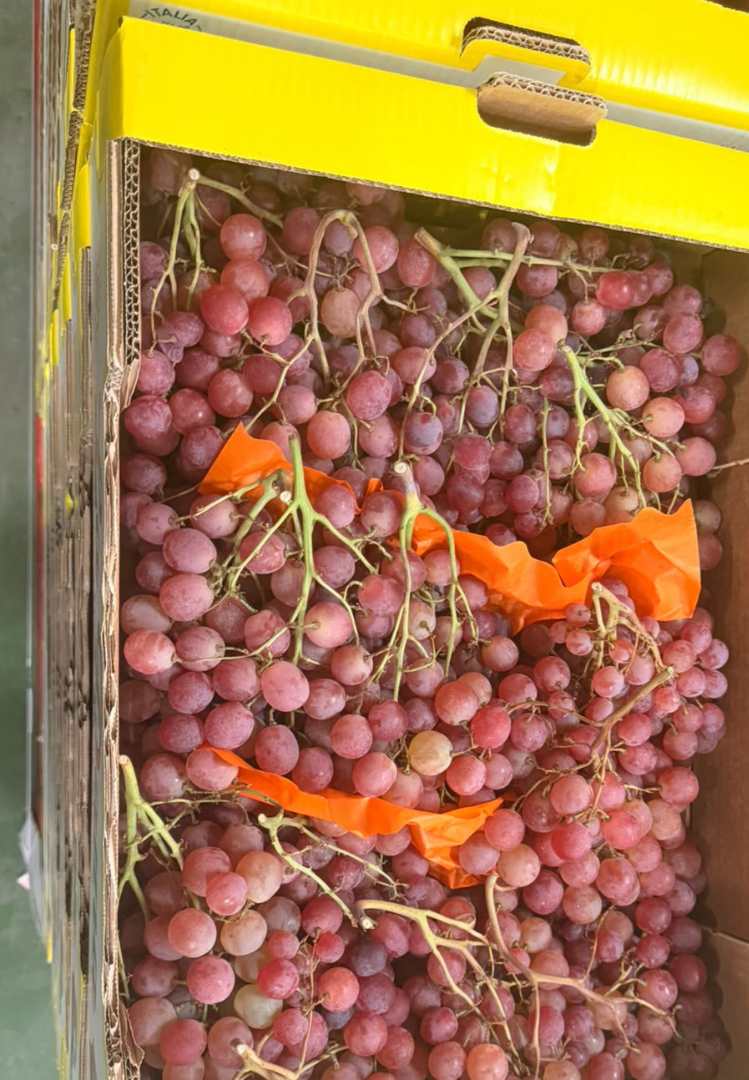 Photographie officielle du produit raisin rose red globe cat i origine italie