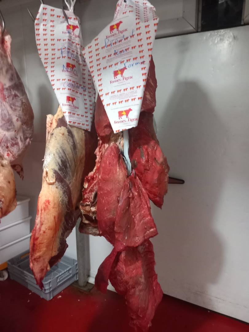 Carcasse de viande de boeuf