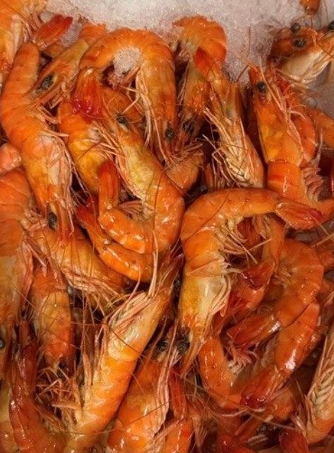 crevettes entières cuites réfrigérées élevées à madagscar…