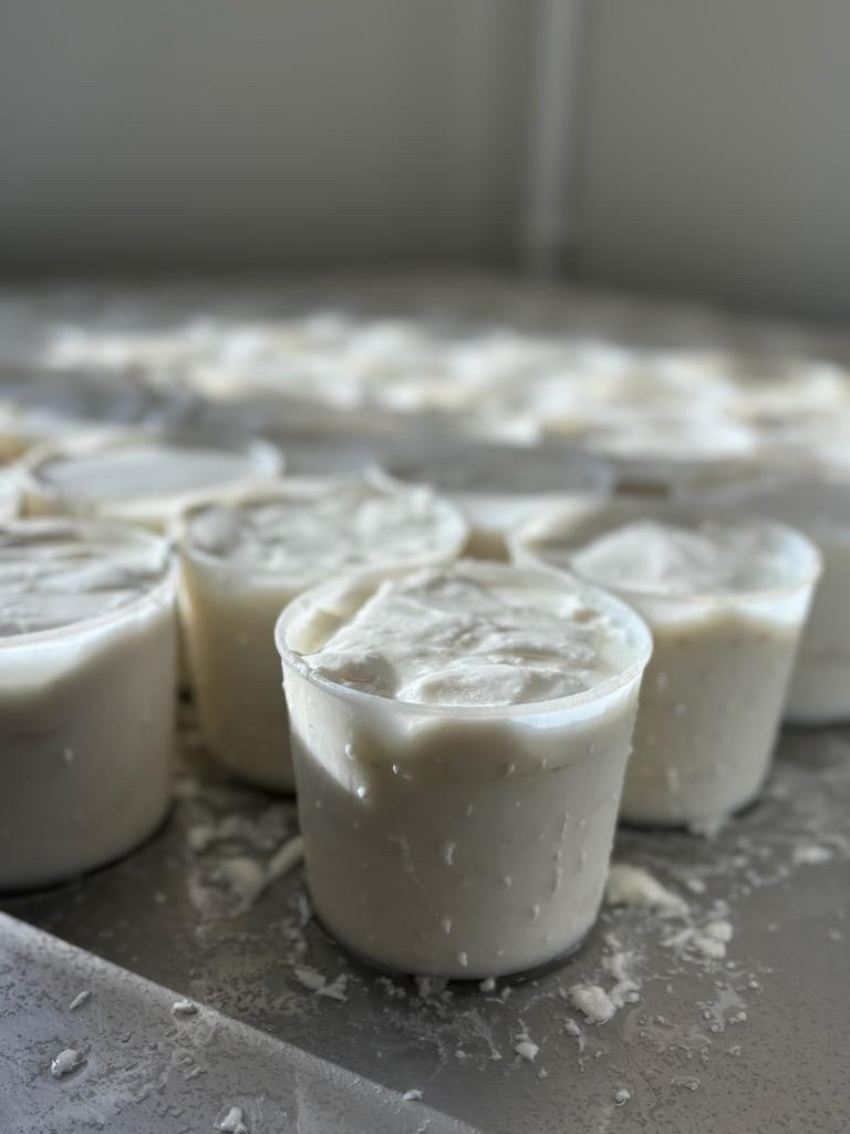 Visuel N°5 du produit rappelé : fromages de chèvre ronds, pyramides, bûches, crottins, crottins aromatisés et faisselles 