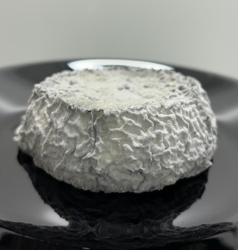 Fromages de chèvre ronds cendrés