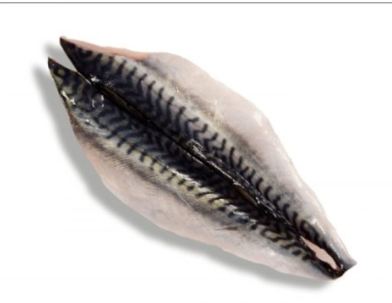 filet maquereau double cal.60/100g pavillon france pêché ane