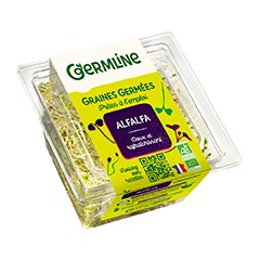 Graines germées biologiques alfalfa