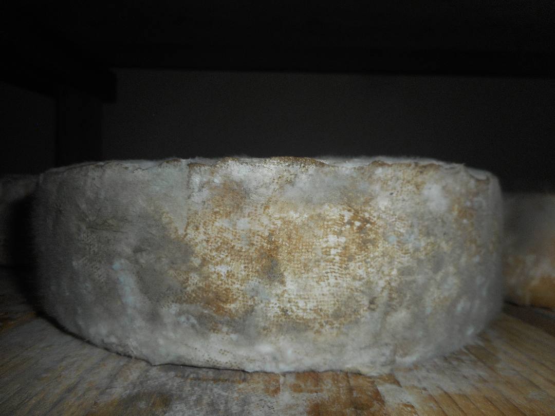 Tomme nature