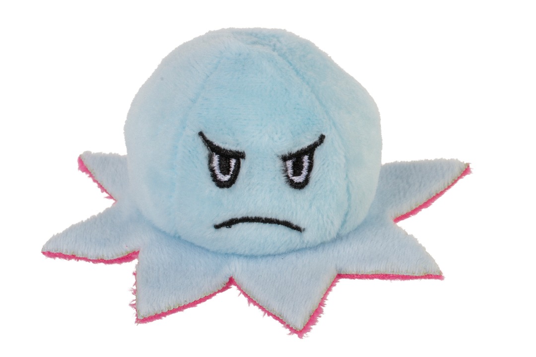 Visuel N°4 du produit rappelé : Peluche poulpe réversible en capsule plastique